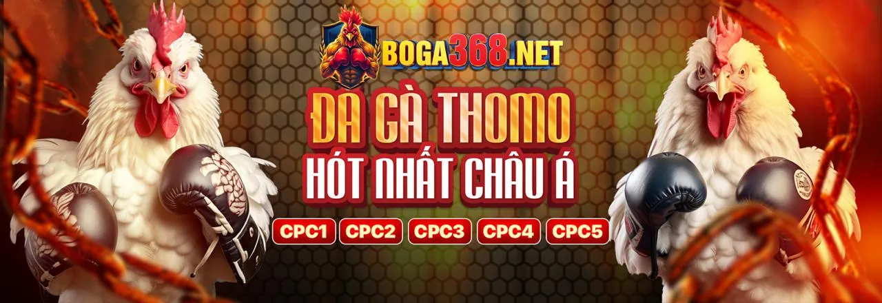 Đá gà trực tiếp hấp dẫn tại hot51